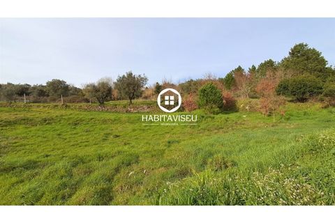 Helårsgrund i Fragosela, Viseu, Fragosela - € 115.000 | Ref: SÒL_2315 - foto 22