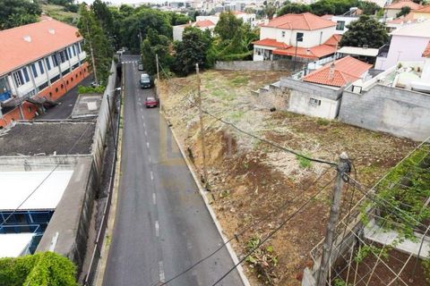 Helårsgrund i Sao Roque, Madeira, Sao Roque - € 250.000 | Ref: TER_53 - foto 2