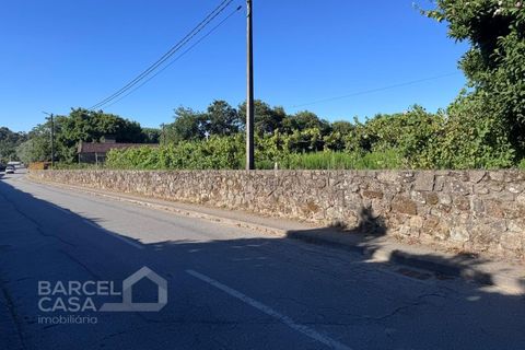 Tomt i Campo e Tamel, Braga, Campo e Tamel - € 400 000 | Ref: 179/26 - foto 2