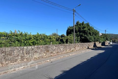 Tomt i Campo e Tamel, Braga, Campo e Tamel - € 400 000 | Ref: 179/26 - foto 3
