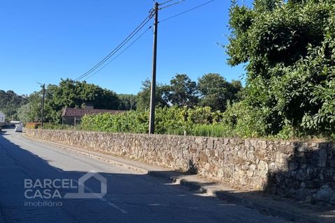 Tomt i Campo e Tamel, Braga, Campo e Tamel - € 400 000 | Ref: 179/26 - foto 4