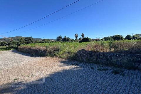 Tomt i Campo e Tamel, Braga, Campo e Tamel - € 400 000 | Ref: 179/26 - foto 8