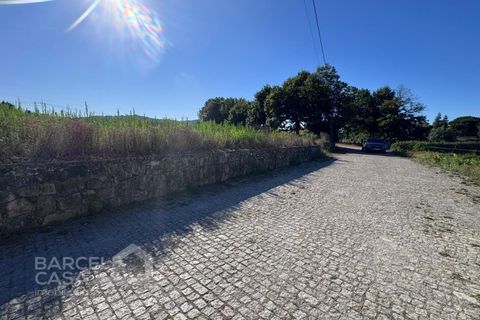 Tomt i Campo e Tamel, Braga, Campo e Tamel - € 400 000 | Ref: 179/26 - foto 9