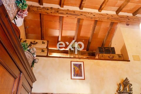 Villa - Vecchiano, Pisa, Vecchiano - € 920 000 | Réf : exp-012155 - photo 21