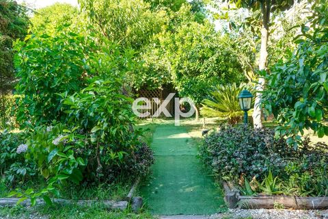 Villa - Vecchiano, Pisa, Vecchiano - € 920 000 | Réf : exp-012155 - photo 29