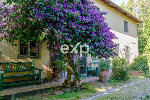 Villa - Vecchiano, Pisa, Vecchiano - € 920 000 | Réf : exp-012155 - photo 31