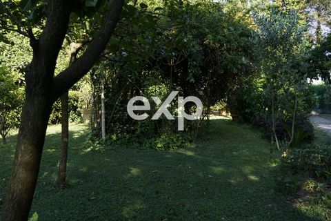 Villa - Vecchiano, Pisa, Vecchiano - € 920 000 | Réf : exp-012155 - photo 36