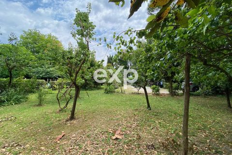 Villa - Vecchiano, Pisa, Vecchiano - € 920 000 | Réf : exp-012155 - photo 37