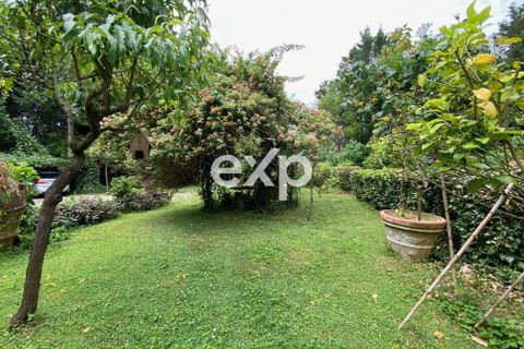 Villa - Vecchiano, Pisa, Vecchiano - € 920 000 | Réf : exp-012155 - photo 38