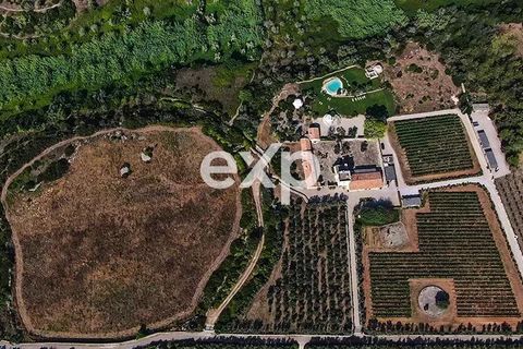Herregård i Salve, Lecce, Salve - € 10 000 000 | Ref: BulliMasseria - foto 32
