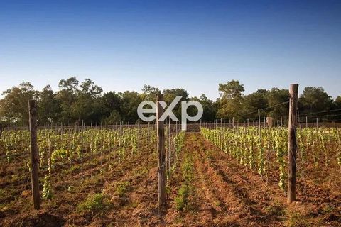 Herregård i Salve, Lecce, Salve - € 10 000 000 | Ref: BulliMasseria - foto 37
