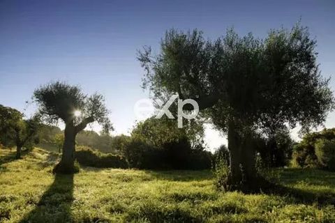 Herregård i Salve, Lecce, Salve - € 10 000 000 | Ref: BulliMasseria - foto 46