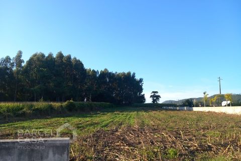 Helårsgrund i Esposende, Braga, Esposende - € 440.000 | Ref: 135/23 - foto 3