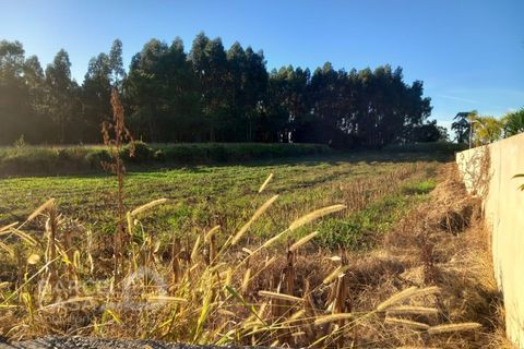 Helårsgrund i Esposende, Braga, Esposende - € 440.000 | Ref: 135/23 - foto 4