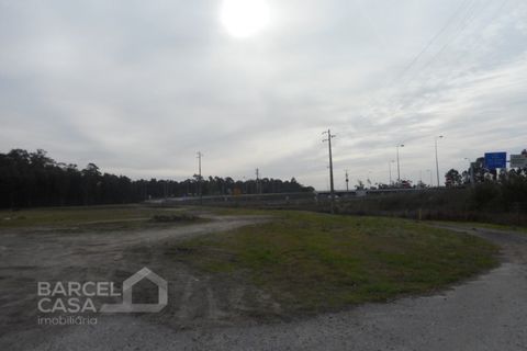 Grond in Gandra, Braga, Gandra - € 1.750.000 | Ref: 300/18 - foto 2