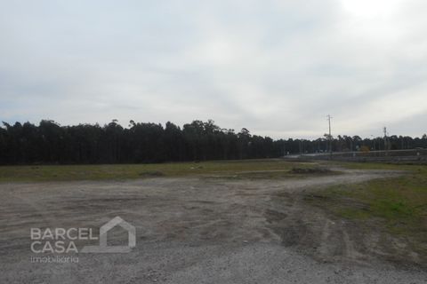 Grond in Gandra, Braga, Gandra - € 1.750.000 | Ref: 300/18 - foto 3