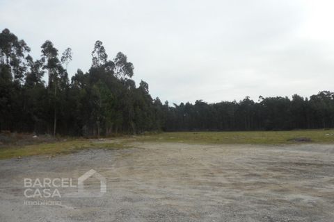 Grond in Gandra, Braga, Gandra - € 1.750.000 | Ref: 300/18 - foto 4
