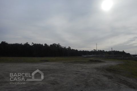 Grond in Gandra, Braga, Gandra - € 1.750.000 | Ref: 300/18 - foto 5