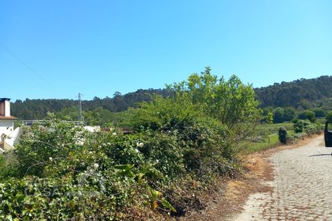 Helårsgrund i Esposende, Braga, Esposende - € 69.000 | Ref: 57/24 - foto 3