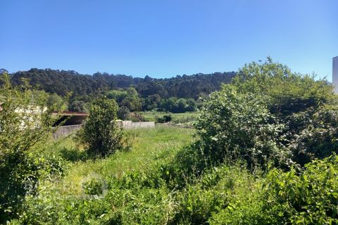 Helårsgrund i Esposende, Braga, Esposende - € 69.000 | Ref: 57/24 - foto 5