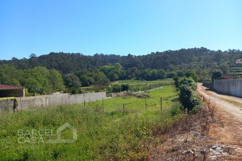 Helårsgrund i Esposende, Braga, Esposende - € 69.000 | Ref: 57/24 - foto 6