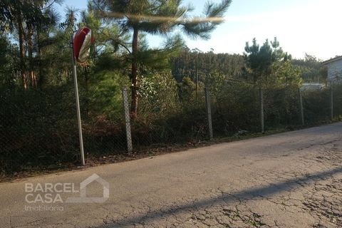 Tomt i Sequeade e Bastuco, Braga, Sequeade e Bastuco - € 200 000 | Ref: 244/20 - foto 2