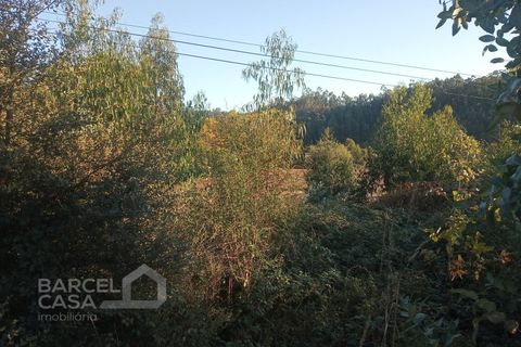 Tomt i Sequeade e Bastuco, Braga, Sequeade e Bastuco - € 200 000 | Ref: 244/20 - foto 3