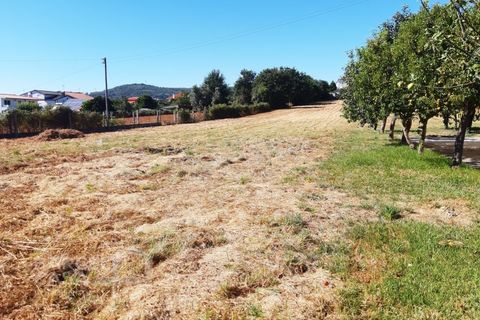 Helårsgrund i Viana do Castelo, Viana do Castelo, Viana do Castelo - € 195.000 | Ref: 173/20 - foto 2