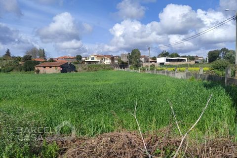 Helårsgrund i Esposende, Braga, Esposende - € 400.000 | Ref: 87/25 - foto 4