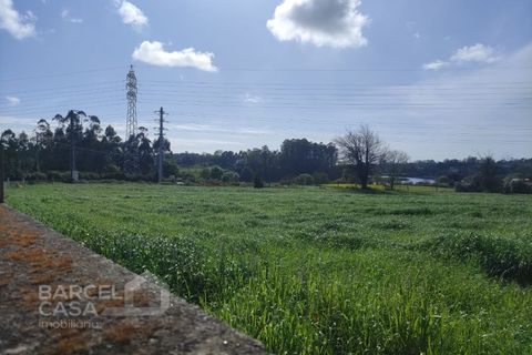 Helårsgrund i Esposende, Braga, Esposende - € 400.000 | Ref: 87/25 - foto 10