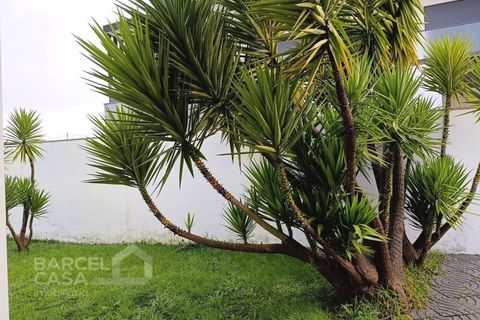 Villa i Esposende, Braga, Esposende - € 375.000 | Ref: 17/25 - foto 35
