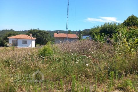 Helårsgrund i Esposende, Braga, Esposende - € 54.000 | Ref: 108/23 - foto 4