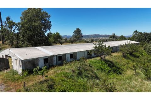 Terra a Fundao, Castelo Branco, Fundao - € 240.000 | Ref: SÒL_447 - foto 2