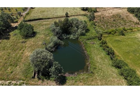 Terra a Fundao, Castelo Branco, Fundao - € 240.000 | Ref: SÒL_447 - foto 3