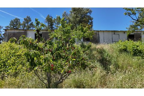Terra a Fundao, Castelo Branco, Fundao - € 240.000 | Ref: SÒL_447 - foto 4
