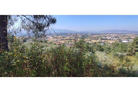Terra a Fundao, Castelo Branco, Fundao - € 240.000 | Ref: SÒL_447 - foto 5