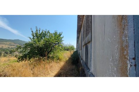 Terra a Fundao, Castelo Branco, Fundao - € 240.000 | Ref: SÒL_447 - foto 7