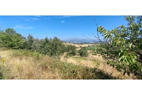 Terra a Fundao, Castelo Branco, Fundao - € 240.000 | Ref: SÒL_447 - foto 9