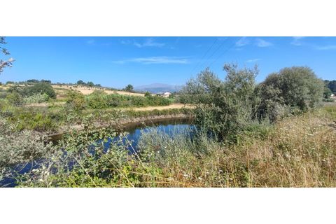 Terra a Fundao, Castelo Branco, Fundao - € 240.000 | Ref: SÒL_447 - foto 12