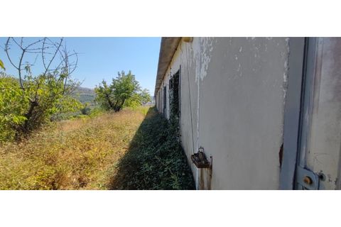 Terra a Fundao, Castelo Branco, Fundao - € 240.000 | Ref: SÒL_447 - foto 13