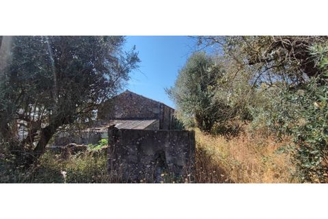 Terra a Fundao, Castelo Branco, Fundao - € 240.000 | Ref: SÒL_447 - foto 14