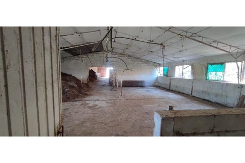 Terra a Fundao, Castelo Branco, Fundao - € 240.000 | Ref: SÒL_447 - foto 20