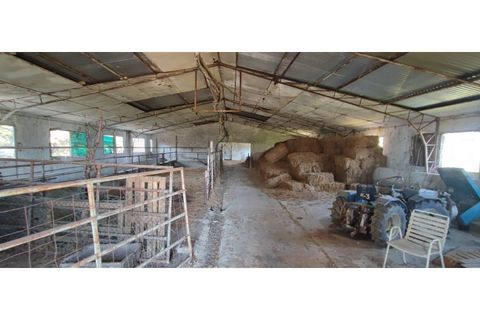 Terra a Fundao, Castelo Branco, Fundao - € 240.000 | Ref: SÒL_447 - foto 24