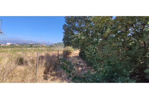 Terra a Fundao, Castelo Branco, Fundao - € 240.000 | Ref: SÒL_447 - foto 25