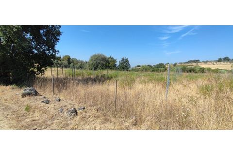 Terra a Fundao, Castelo Branco, Fundao - € 240.000 | Ref: SÒL_447 - foto 26