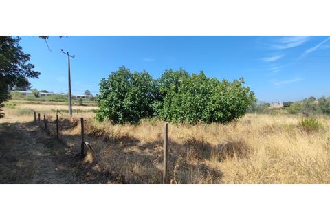 Terra a Fundao, Castelo Branco, Fundao - € 240.000 | Ref: SÒL_447 - foto 27