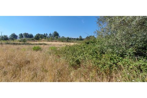 Terra a Fundao, Castelo Branco, Fundao - € 240.000 | Ref: SÒL_447 - foto 28