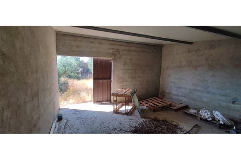 Terra a Fundao, Castelo Branco, Fundao - € 240.000 | Ref: SÒL_447 - foto 33
