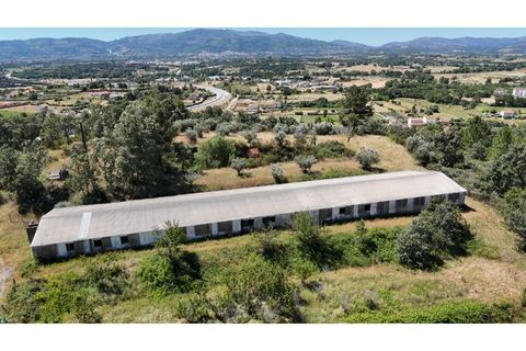 Terra a Fundao, Castelo Branco, Fundao - € 240.000 | Ref: SÒL_447 - foto 37