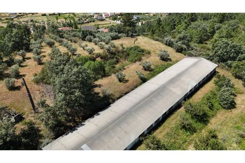 Terra a Fundao, Castelo Branco, Fundao - € 240.000 | Ref: SÒL_447 - foto 38